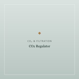 CO₂ Regulator — Dual Gauge