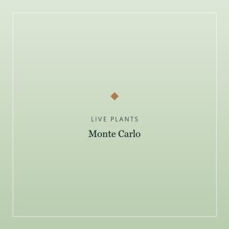 Monte Carlo — Tissue Culture Cup