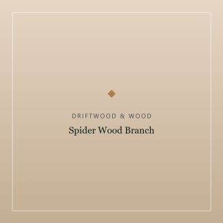 Spider Wood Branch