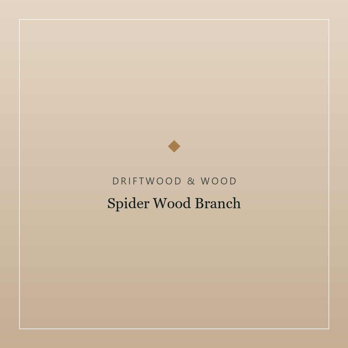 Spider Wood Branch