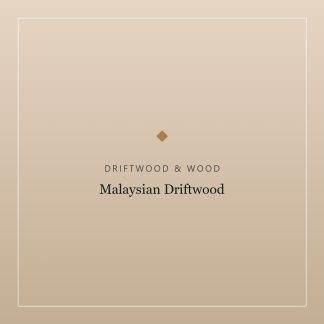 Malaysian Driftwood