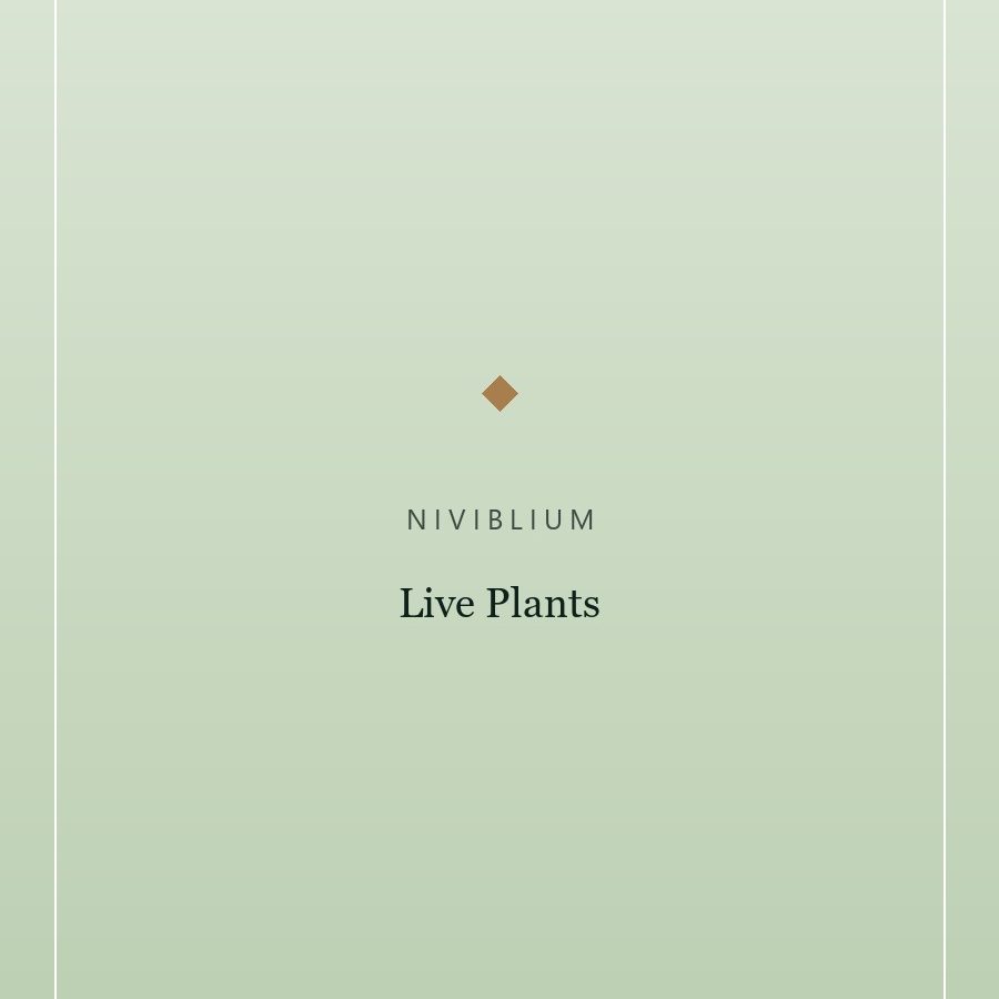 Live Plants