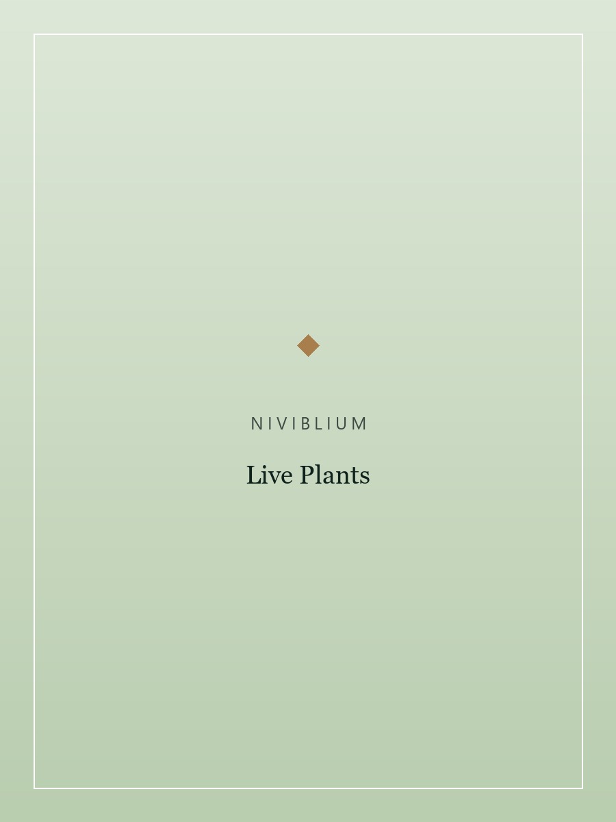 Live Plants